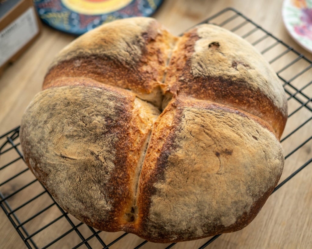 sourdough burger buns